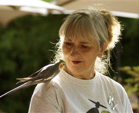 Yando ACT Accommodation Perth