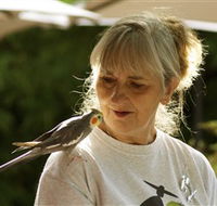 Simply Tomatoes - Accommodation Perth