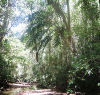 Mount Lewis National Park - Accommodation Perth