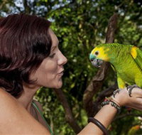 Birdworld Kuranda - Accommodation Perth
