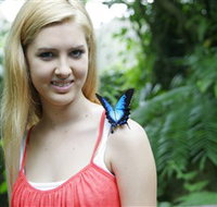 Australian Butterfly Sanctuary - Accommodation Perth