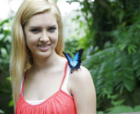 Australian Butterfly Sanctuary - Perth Resorts 0