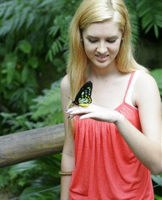 Australian Butterfly Sanctuary - Perth Resorts 1