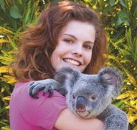 Kuranda Koala Gardens - Accommodation Perth