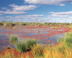 Adventure Way - Perth Resorts 3