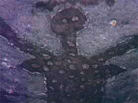 Quinkan Reserves Ancient Rock Art - Accommodation Perth 0