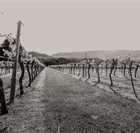 Halls Gap Estate - Accommodation Perth