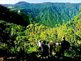 Eungella National Park - Accommodation Perth 3