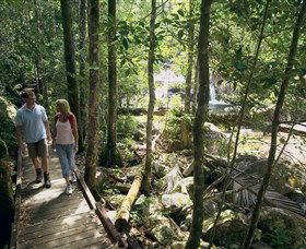 Eungella National Park - Accommodation Perth 2