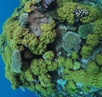 Keeper Reef Dive Site - Accommodation Perth