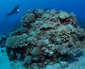 Keeper Reef Dive Site - Accommodation Perth 1