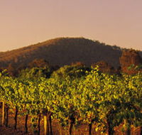 Taltarni Vineyards - Accommodation Perth