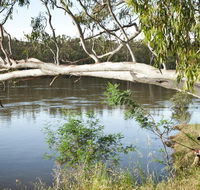 Murray Valley National Park - Accommodation Perth