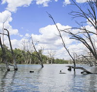 Murrumbidgee Valley National Park - Accommodation Perth