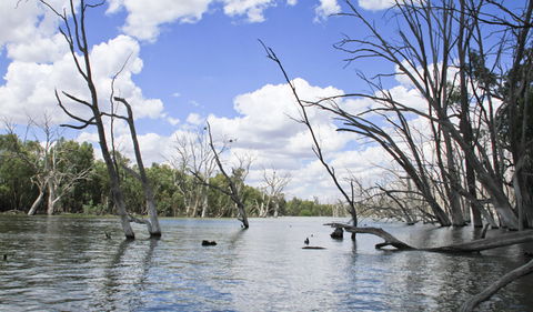 Murrumbidgee Valley National Park - Accommodation Perth 0