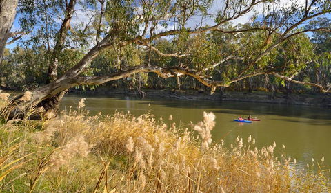 Murrumbidgee Valley National Park - Accommodation Perth 3