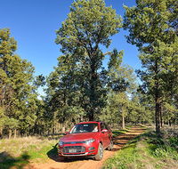 Forest drive - Accommodation Perth