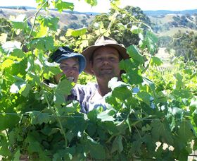 Wimmera Hills Winery - Perth Resorts 0