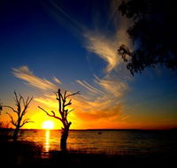 Lake Cowal - Accommodation Perth