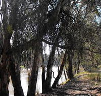 Mia Forest Drives Narrandera - Accommodation Perth