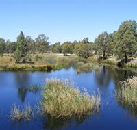 Narrandera Wetlands - Accommodation Perth