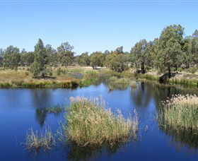 Narrandera Wetlands - Accommodation Perth 0
