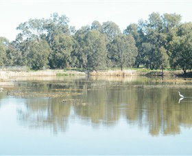 Narrandera Wetlands - Accommodation Perth 1