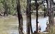 Murrumbidgee River And Fresh Water Beaches - thumb 1