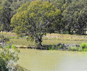 Lake Talbot And Lake Talbot Lookout - Accommodation Perth 1