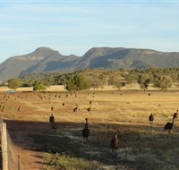 Emu Logic - Accommodation Perth
