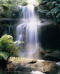 Mount Buangor State Park - Accommodation Perth 0