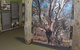 Barmah Forest Heritage And Education Centre - thumb 2