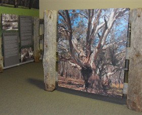 Barmah Forest Heritage And Education Centre - Accommodation Perth 2