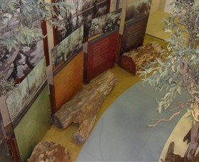 Barmah Forest Heritage And Education Centre - Accommodation Perth 4