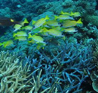 Castle Rock Dive Site - Perth Resorts