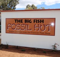 Big Fish Fossil Hut at Peak Hill - Accommodation Perth