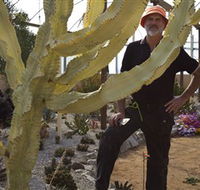 Cactus Country - Accommodation Perth