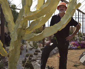 Cactus Country - Perth Resorts 0