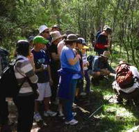 Warrumbungle National Park Discovery Program - Accommodation Perth