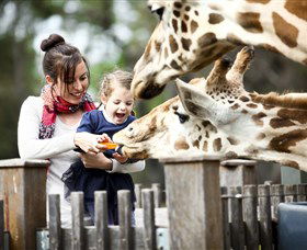Taronga Western Plains Zoo, Dubbo - Accommodation Perth 0