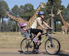 Taronga Western Plains Zoo, Dubbo - Accommodation Perth 2