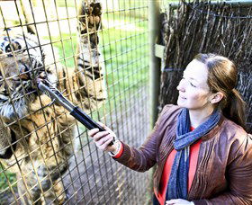 Taronga Western Plains Zoo, Dubbo - Accommodation Perth 3