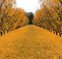 Sun Country on the Murray Farm Gate Trail - Perth Resorts