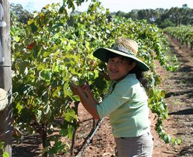 Domaine Asmara - Accommodation Perth 6