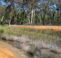 Beni State Conservation Area - Accommodation Perth