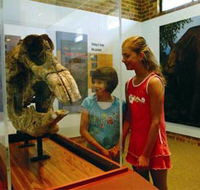Australian Museum Diprotodon Exhibition - Accommodation Perth