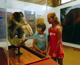Australian Museum Diprotodon Exhibition - Perth Resorts 0