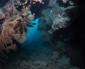 Luncheon Bay Dive Site - Accommodation Perth 2