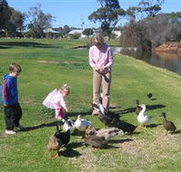 Roy Little Park Merredin - Accommodation Perth