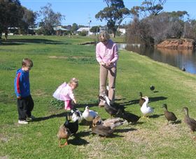 Roy Little Park Merredin - Accommodation Perth 0